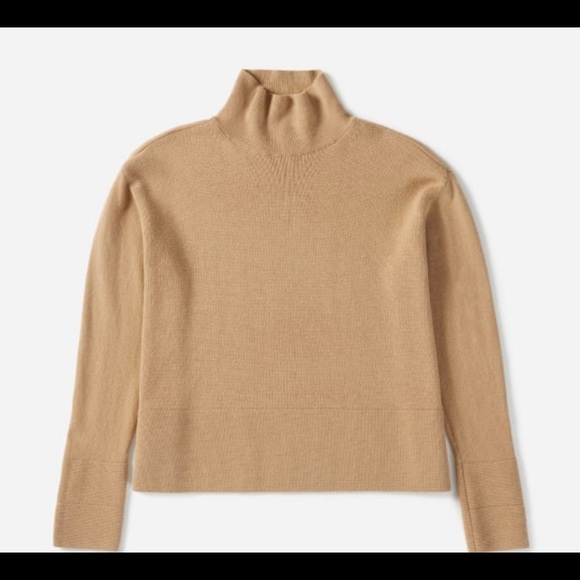 Everlane cashmere camel turtleneck. Good condition - Picture 1 of 2